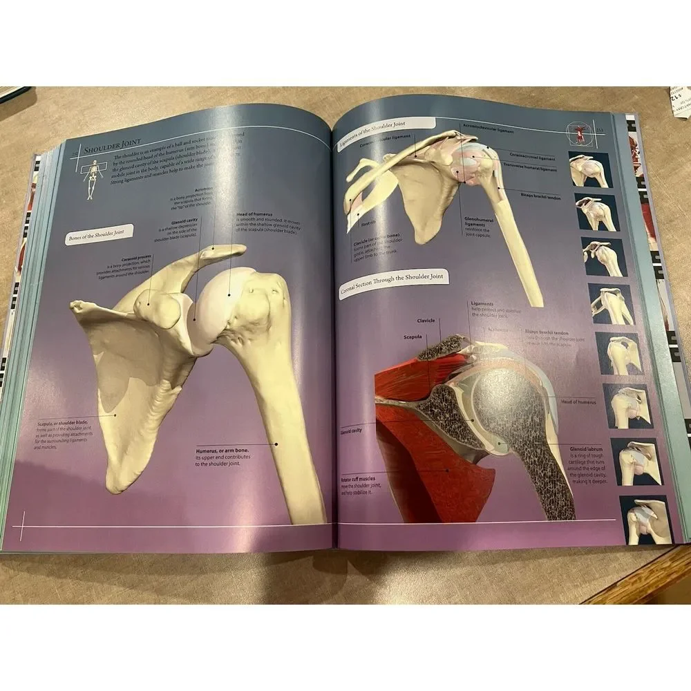 Anatomy 360: The Ultimate Visual Guide to the Human Body Dr. Jamie Roebuck- EUC